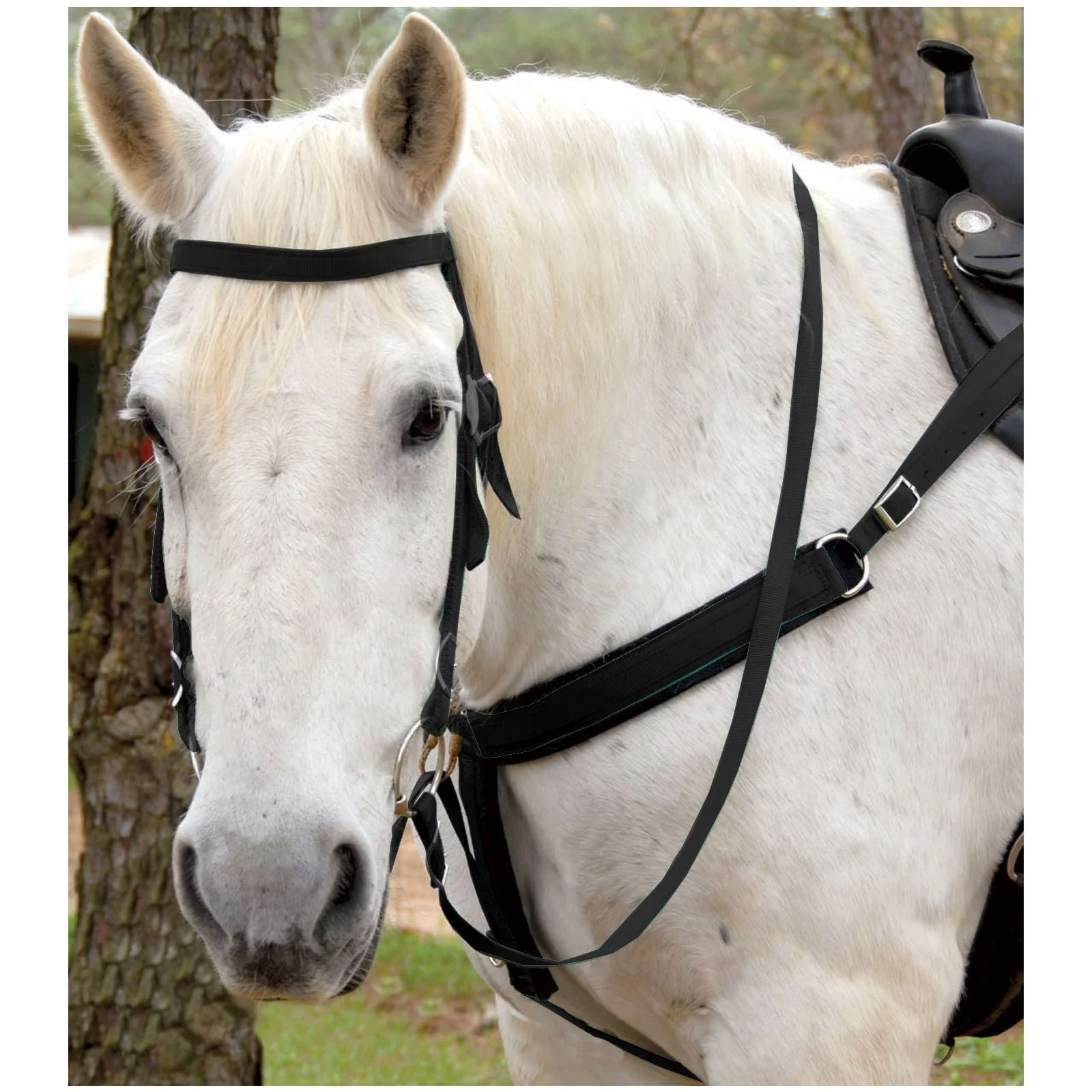 Triple E Nylon Draft Horse Bridle w/ Bit & Reins - Buy Pet Shop