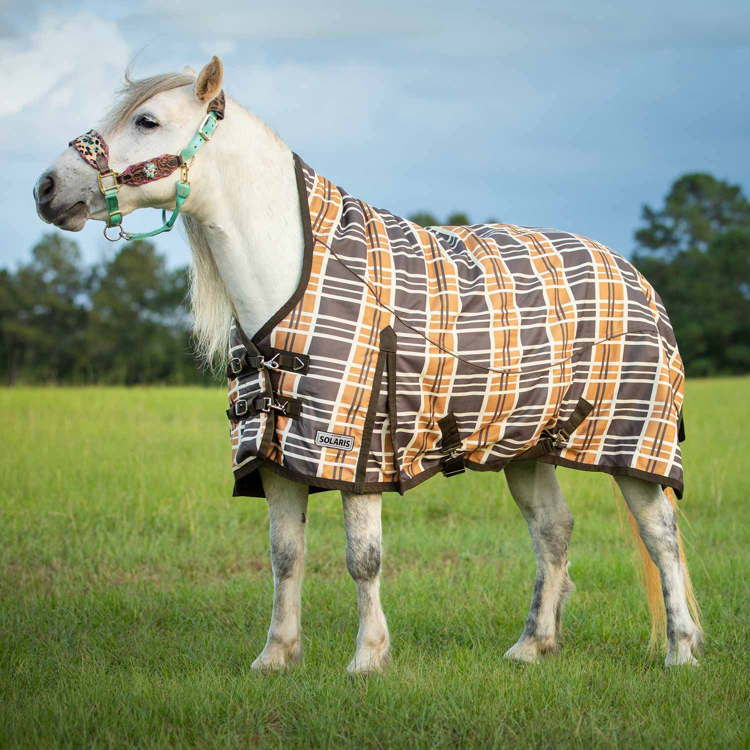 Pony Poppins Solaris Extended Neck Horse Turnout Blanket, Brown & Cream Plaid - Buy Pet Shop