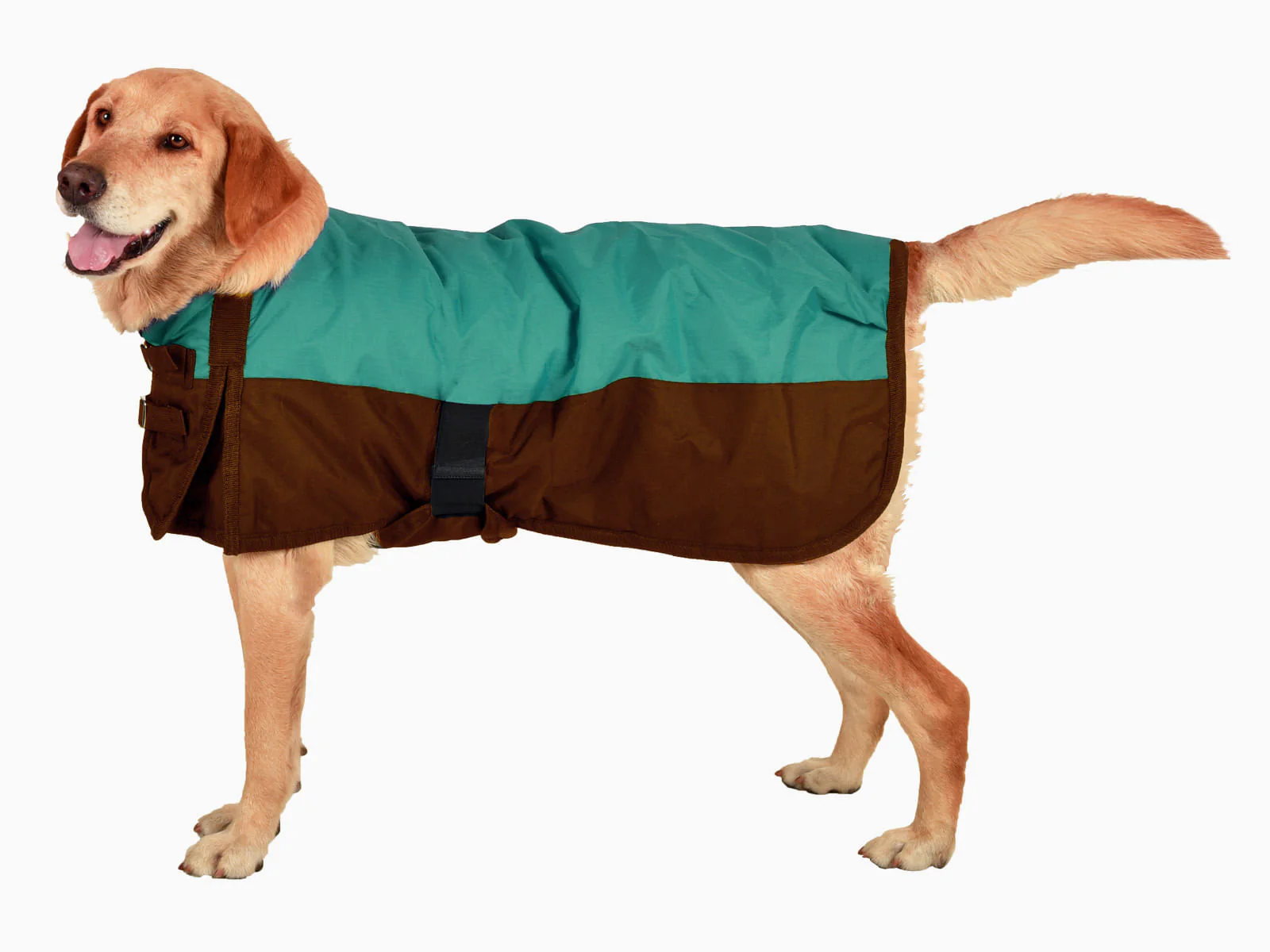 Premium Winter Dog Coat - Buy Pet Shop