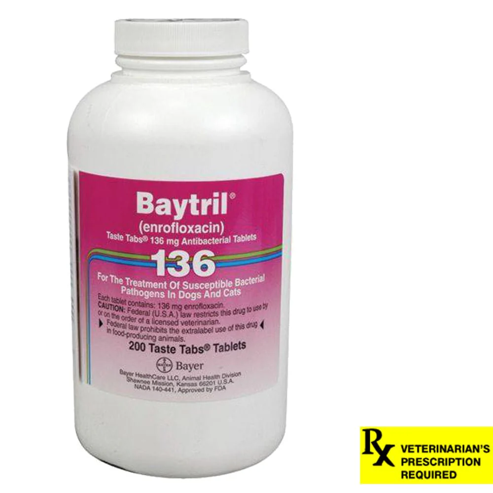 Rx Baytril for Dogs and Cats (Tablets) - Buy Pet Shop