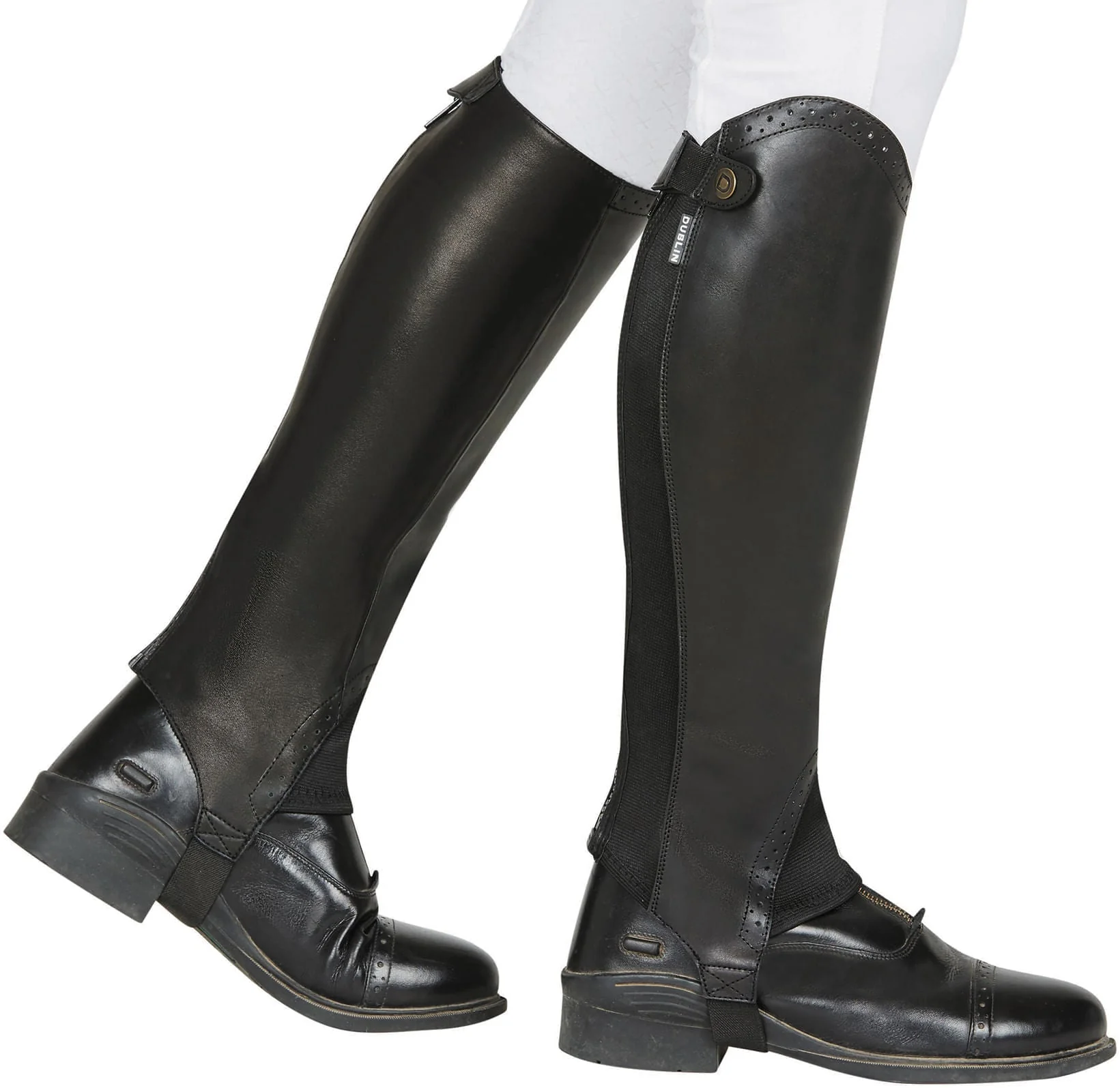Dublin Evolution Rear Zip Half Chaps, Black - Buy Pet Shop