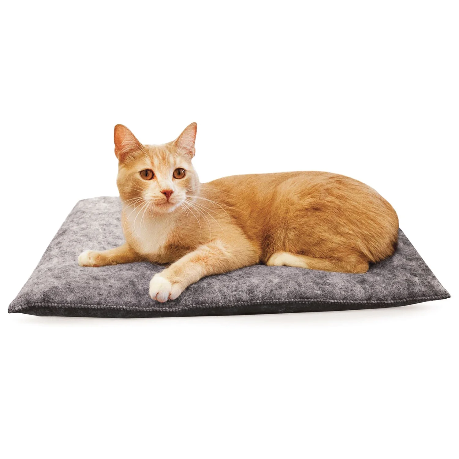 Amazin' Kitty Pad, 3 pk - Buy Pet Shop