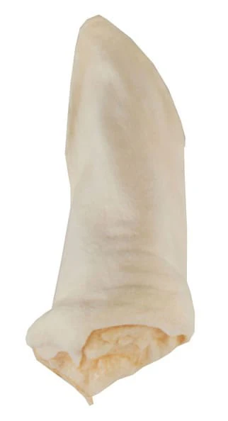 Lamzearz - Buy Pet Shop