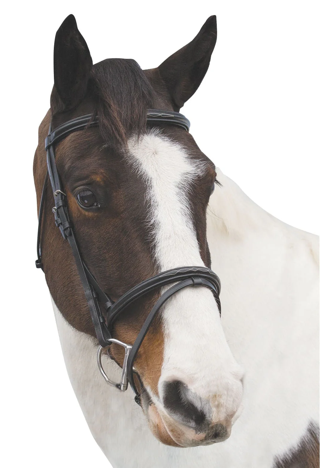 Loveson Elegance Bridle - Buy Pet Shop