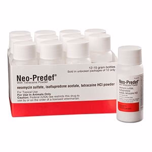 Rx Neo-Predef w/ Tetracaine Topical Powder for Horses, Dogs, & Cats, 15 gram - Buy Pet Shop