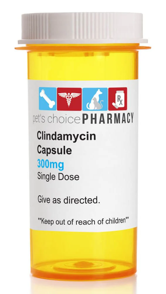 Rx Clindamycin HCl (Generic) Capsules for Dogs - Buy Pet Shop