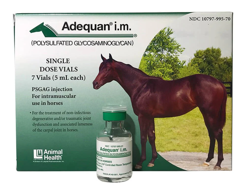 Rx Adequan Equine (polysulfated glycosaminoglycan) 500mg/5ml Injectable for Horses - Buy Pet Shop