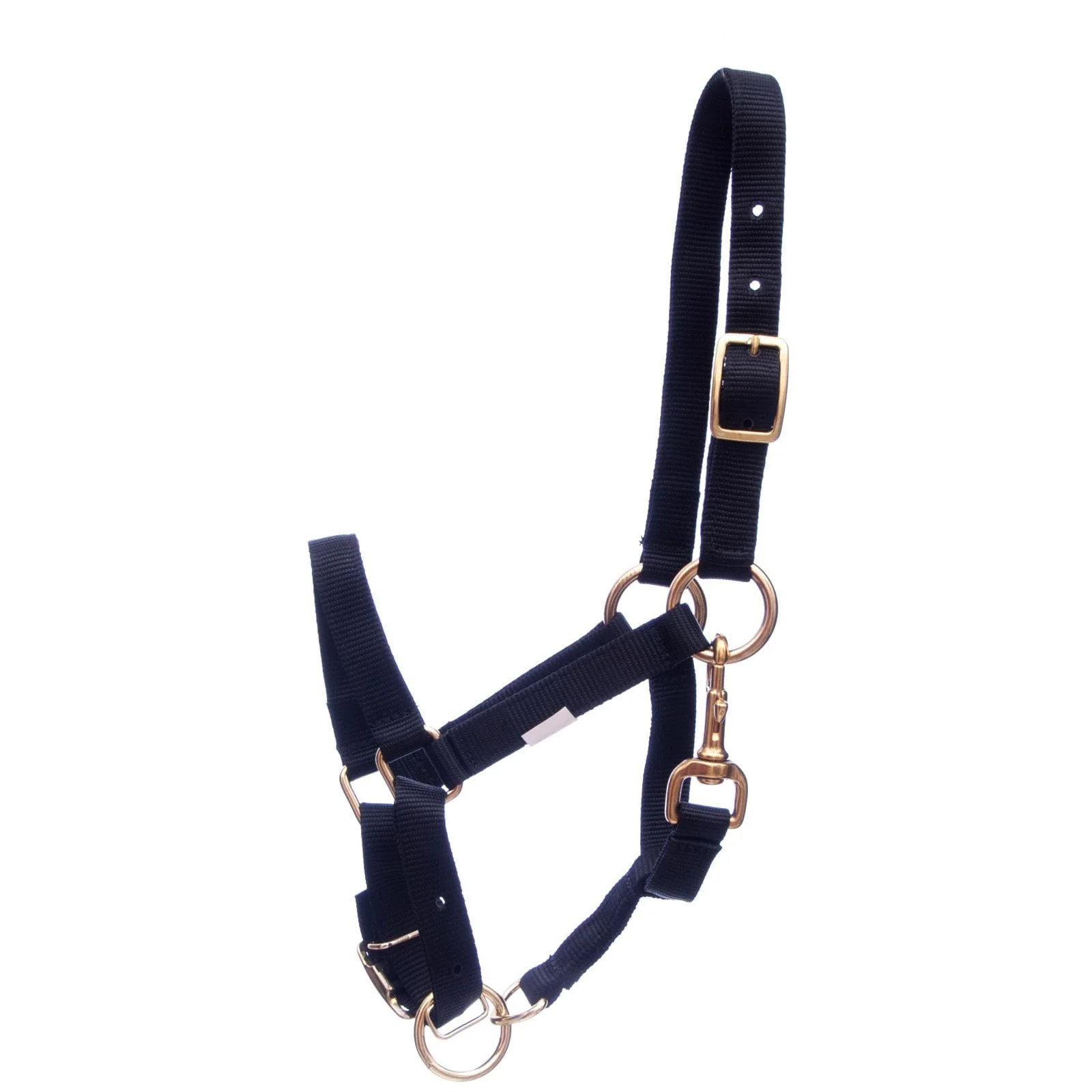 Adjustable Nylon Miniature Horse Halter - Buy Pet Shop
