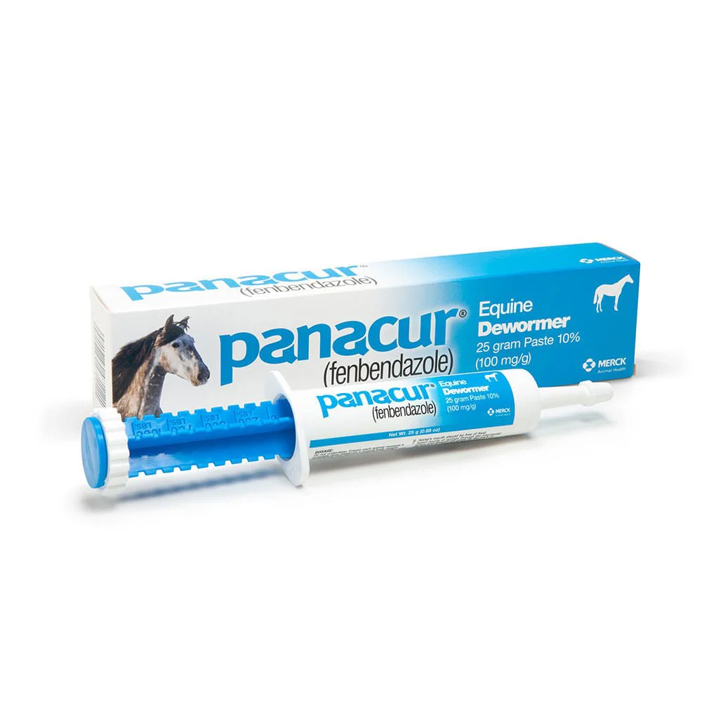 Panacur Equine Fenbendazole Dewormer Paste, 25 g - Buy Pet Shop