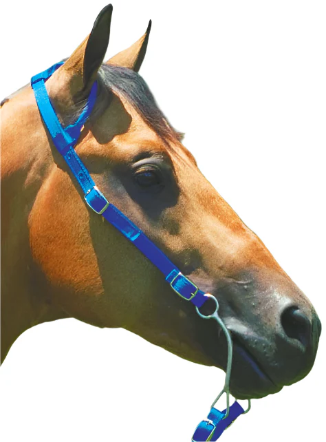 Nylon One Ear Western Horse Headstall - Buy Pet Shop