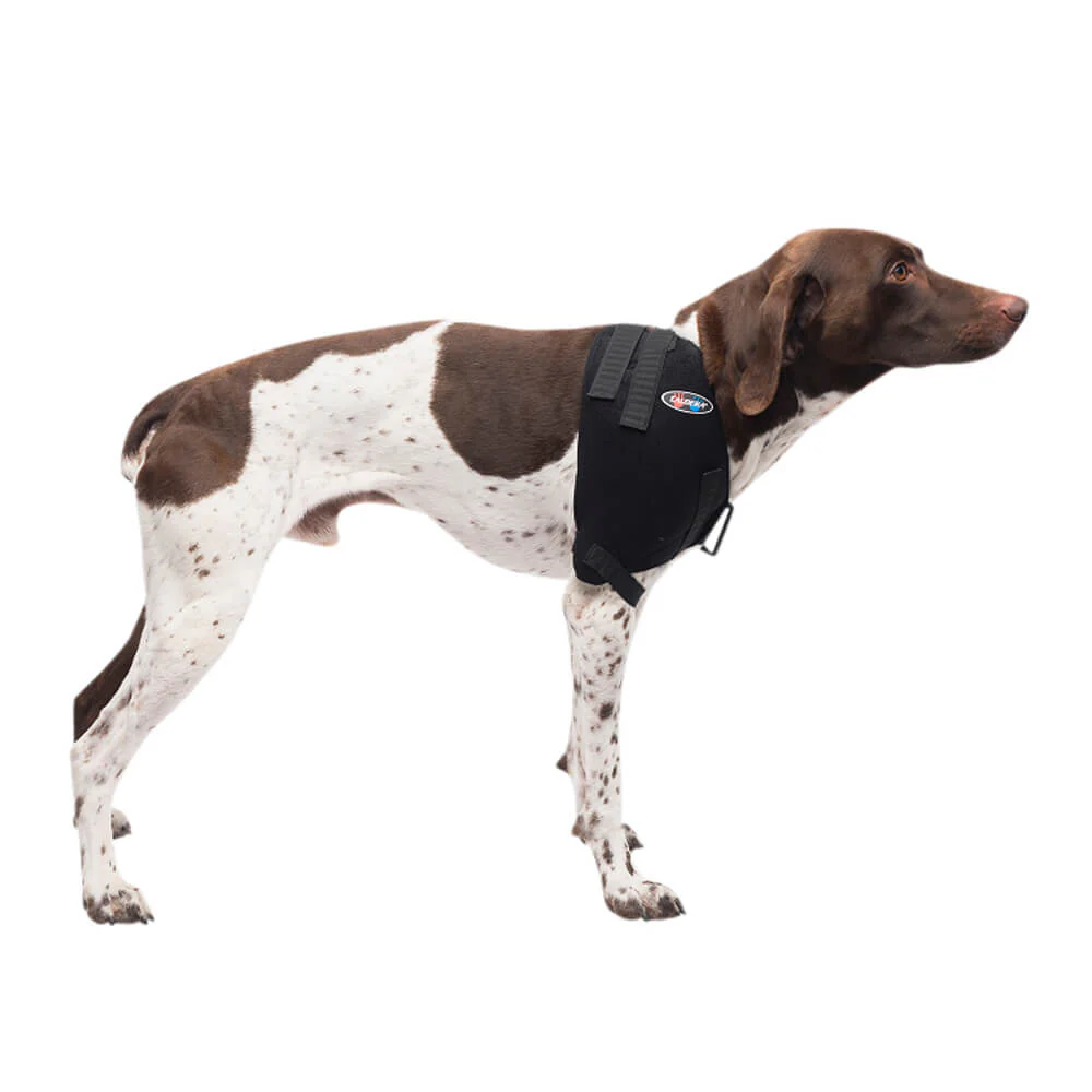 Caldera Pet Therapy Shoulder Wrap with Therapy Gel - Buy Pet Shop