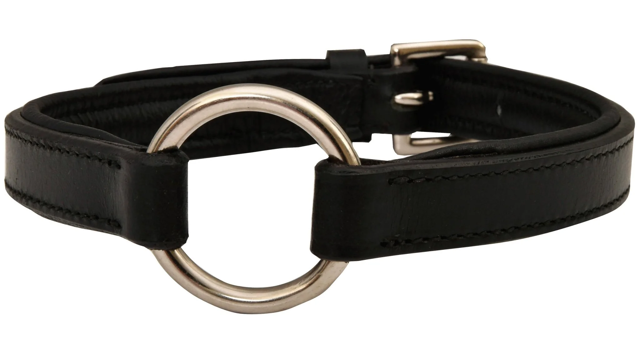 Premium Padded Black Leather Dog Collars - Buy Pet Shop