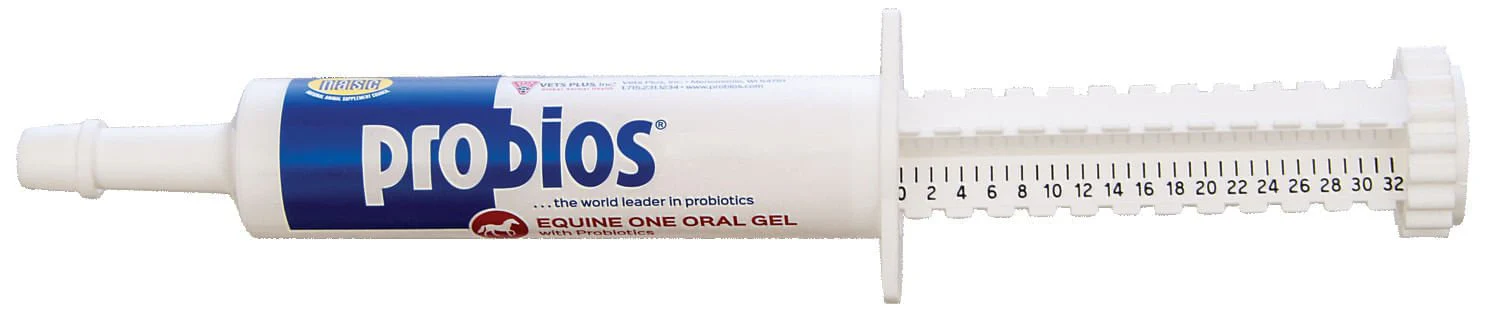 Probios Equine One 30gm - Buy Pet Shop