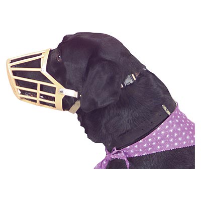 Plastic Dog Muzzles w/ Nylon Web Adjustment Straps - Buy Pet Shop