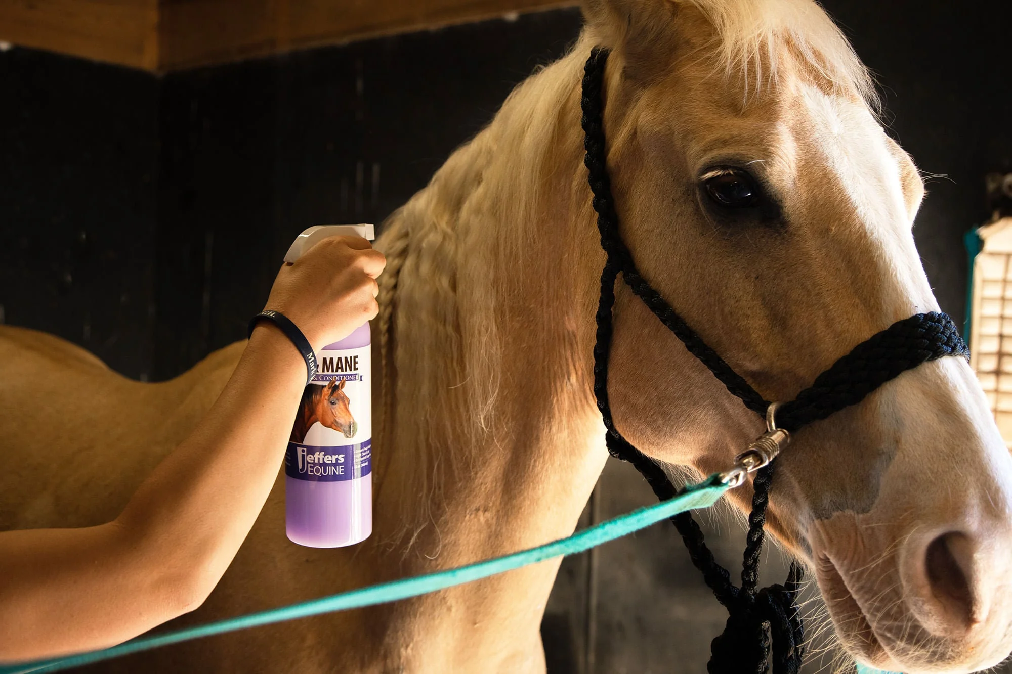 Equine Tail & Mane Detangler & Conditioner for Horses - Buy Pet Shop