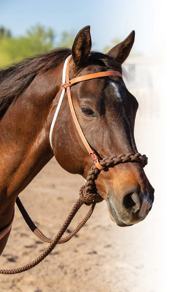 Professional's Choice Loping Hackamore - Buy Pet Shop