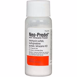 Rx Neo-Predef w/ Tetracaine Topical Powder for Horses, Dogs, & Cats, 15 gram - Buy Pet Shop