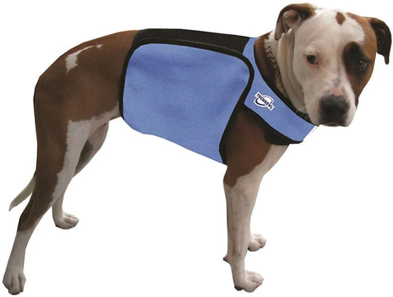 TechKewl Phase Change Cooling Dog Coat - Buy Pet Shop