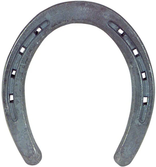 St. Croix Regular Weight Plain Horseshoes, Pair - Buy Pet Shop