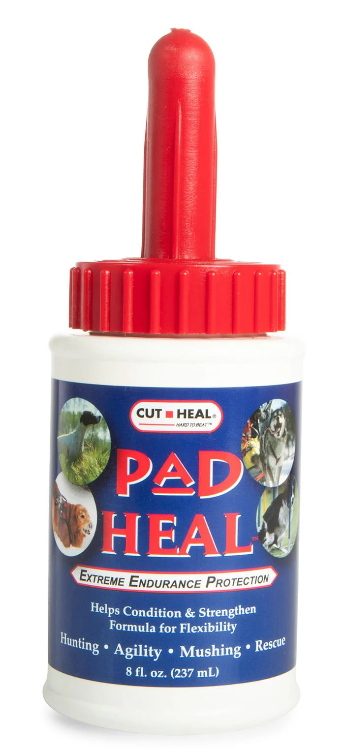 Pad Heal, 8 oz - Buy Pet Shop