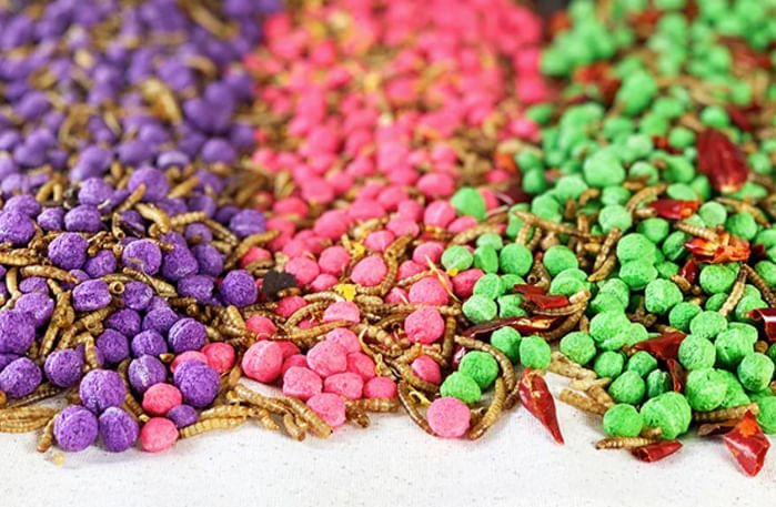 Happy Hen Free Range Feast Mealworm Blends for Chickens, 2 lb - Buy Pet Shop