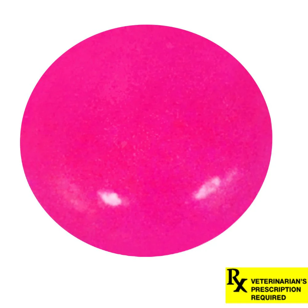 Rx Felimazole Tablets - Buy Pet Shop