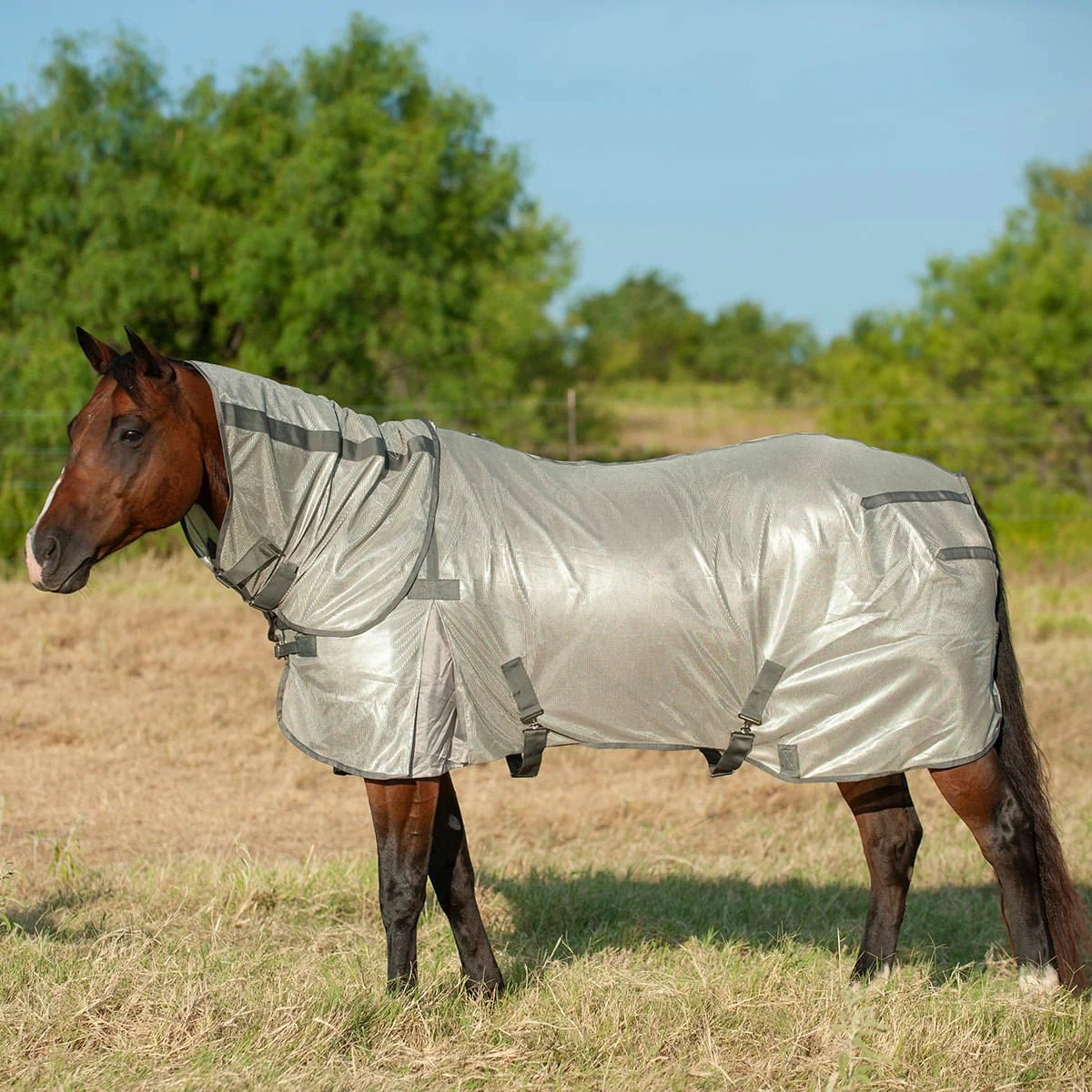 Cashel Economy Horse Fly Sheet with Neck Guard - Buy Pet Shop