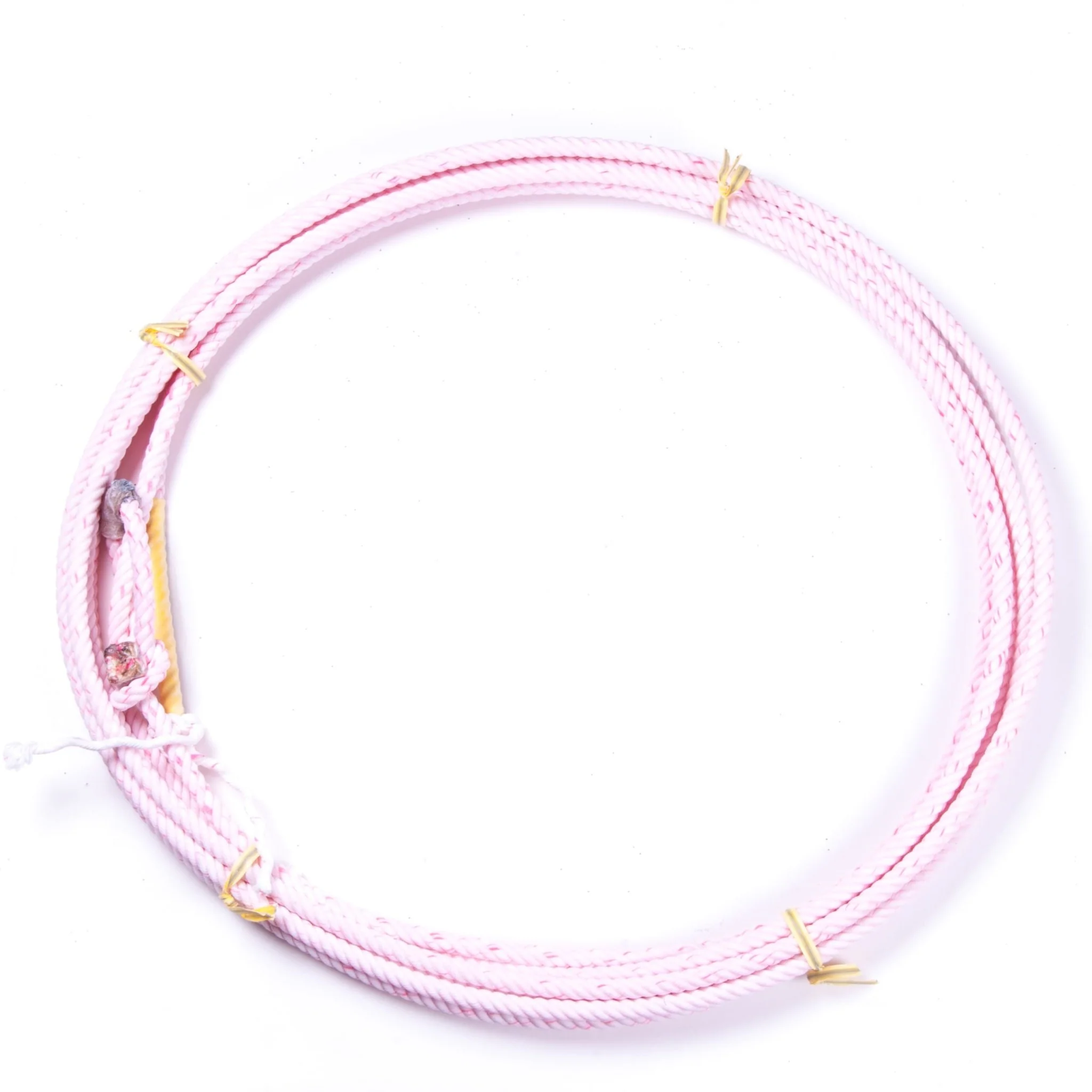 Cactus Saddlery Shockwave Poly Youth Rope - Buy Pet Shop