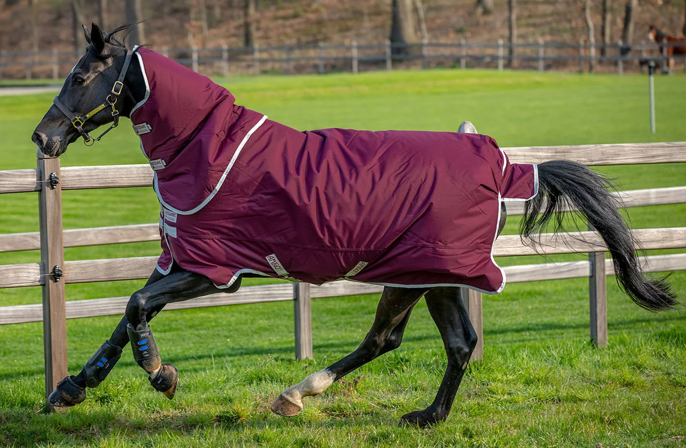 Amigo Hero Ripstop Plus Medium Weight Horse Turnout Blanket - Buy Pet Shop