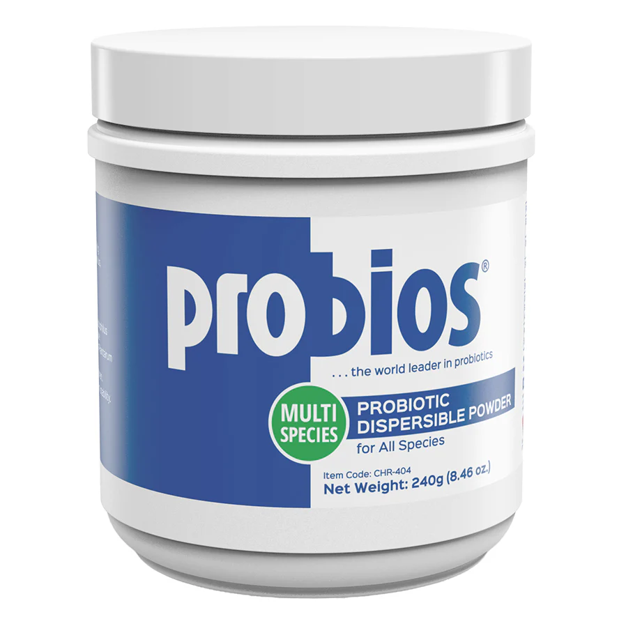 Probios Dispersible Powder - Buy Pet Shop