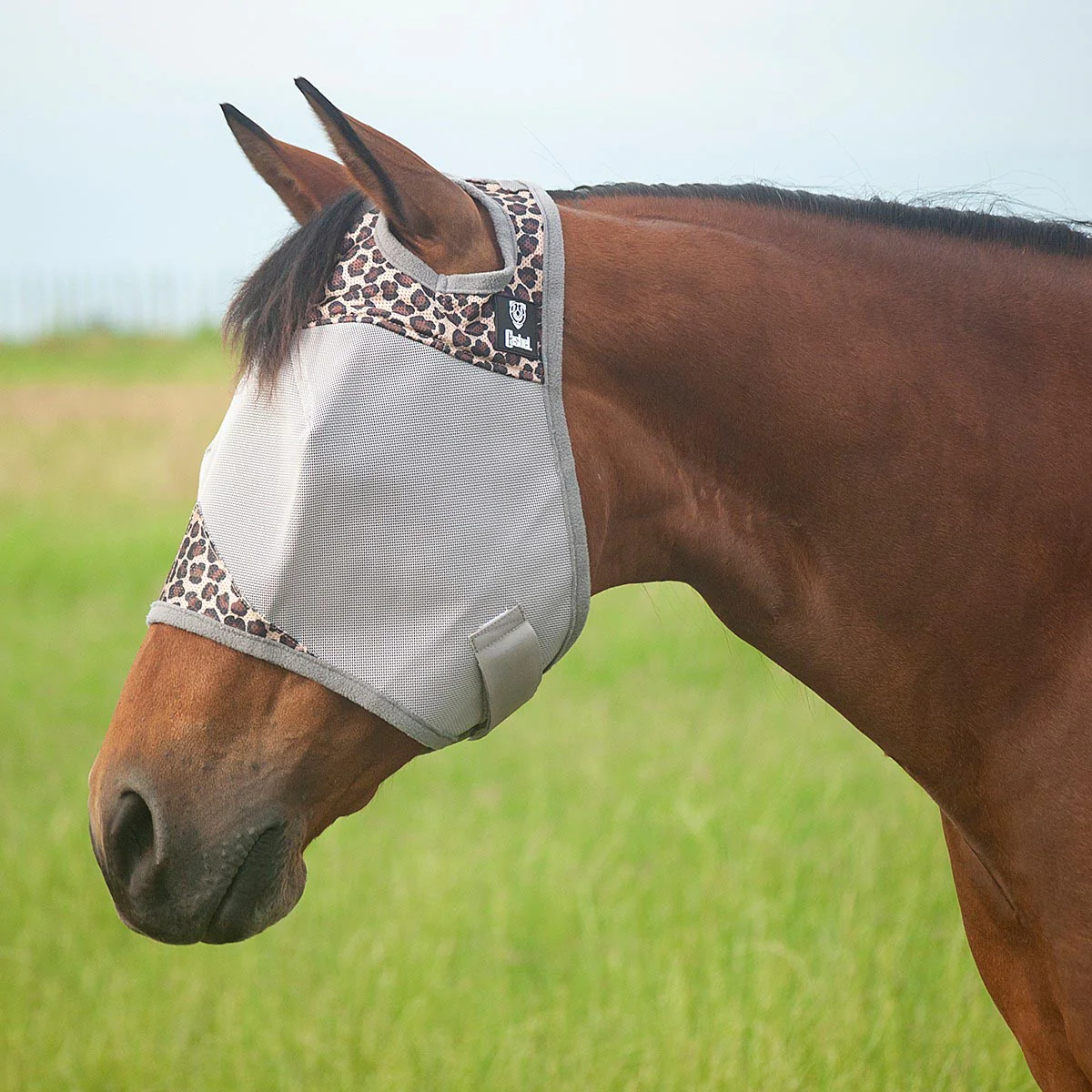 Crusader Fly Mask - Buy Pet Shop