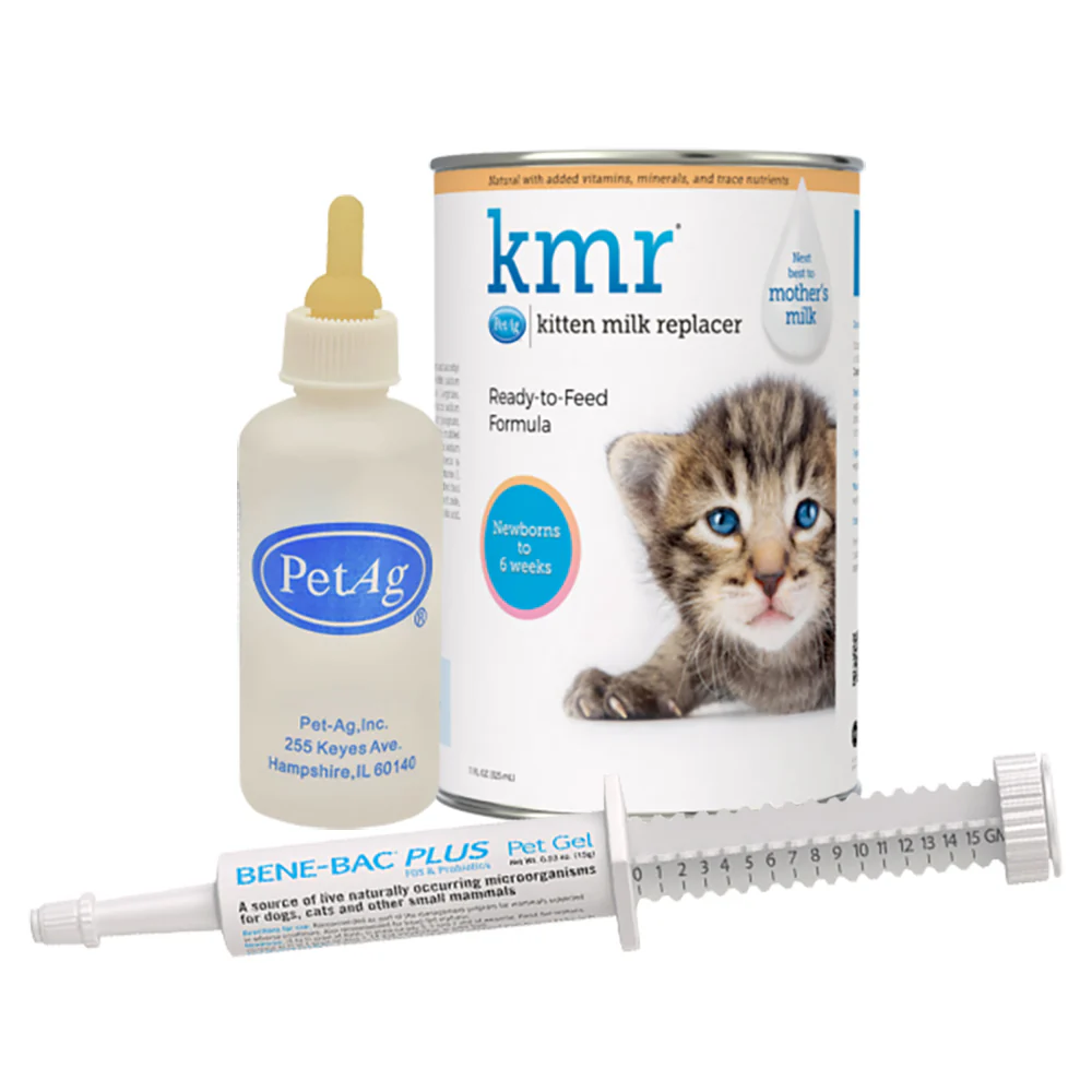 Orphaned Kitten Kit - Buy Pet Shop