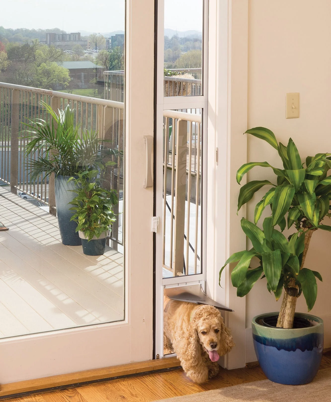 PetSafe Sliding Glass Pet Door - Buy Pet Shop