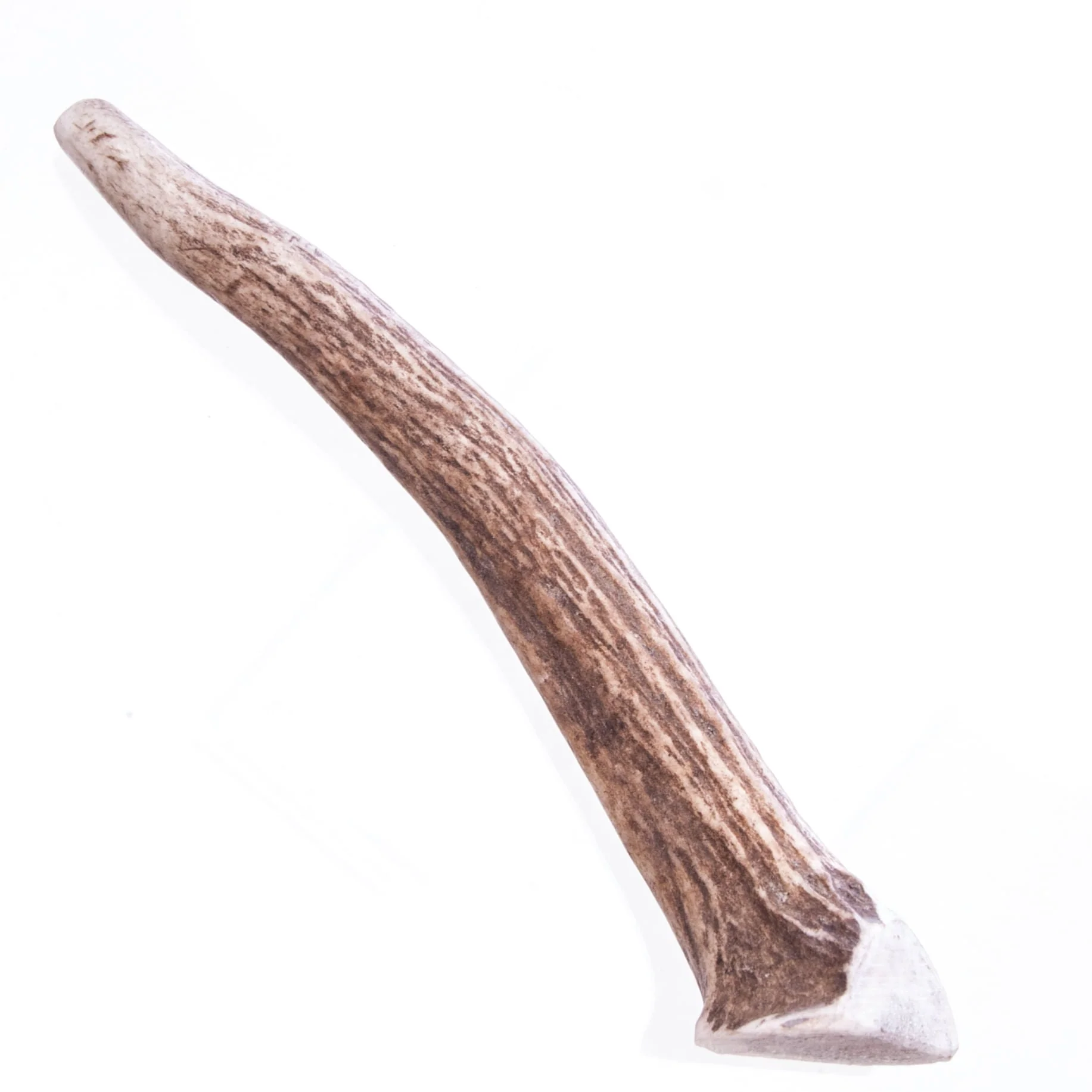 Big Sky Antler Chews, Singles - Buy Pet Shop