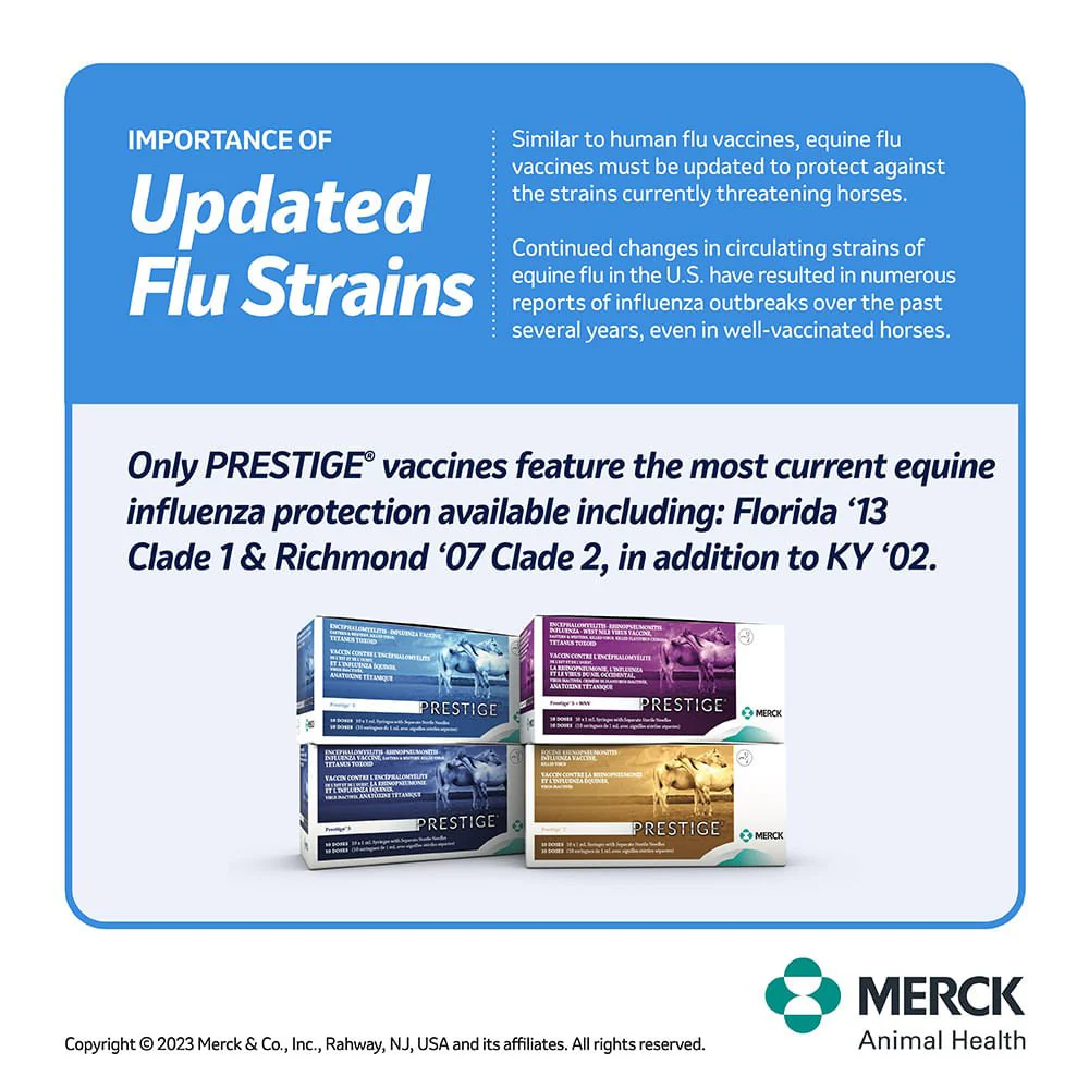 Prestige 4 - Buy Pet Shop