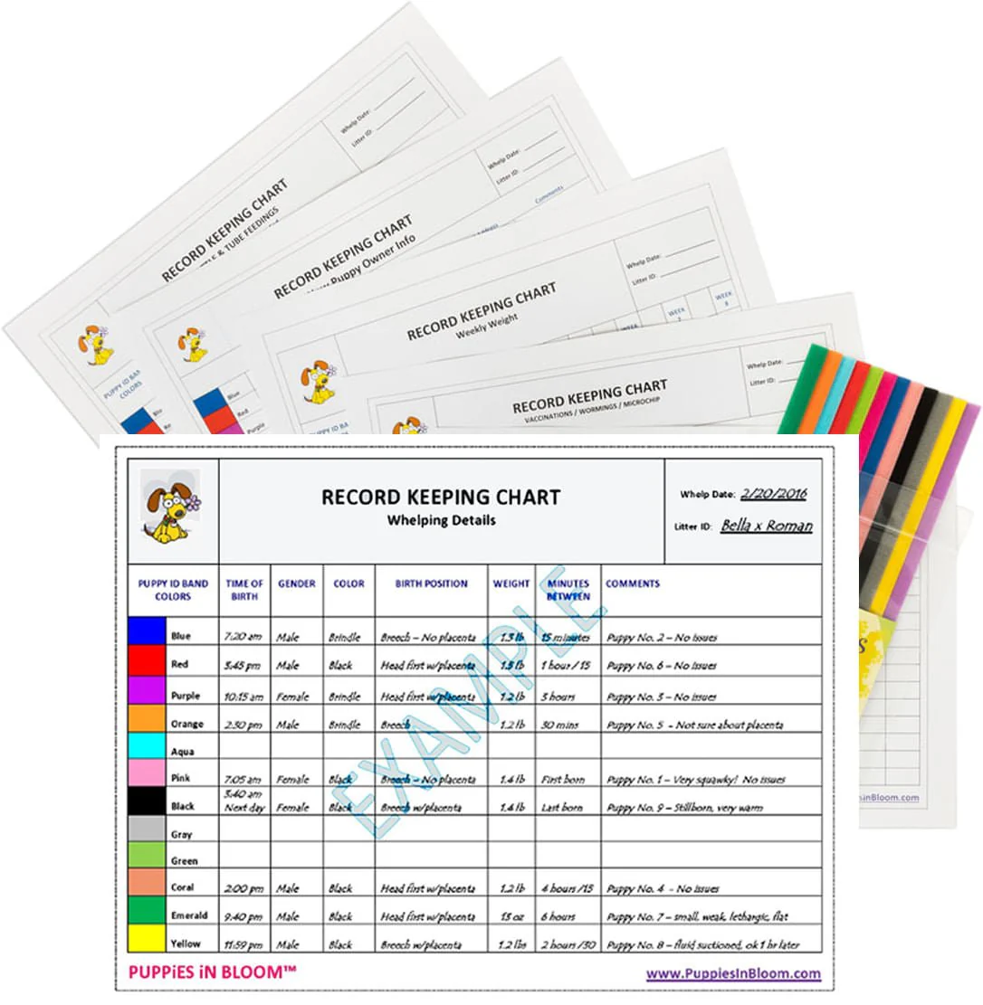 Puppies in Bloom Breeder Record Keeping Charts - Buy Pet Shop