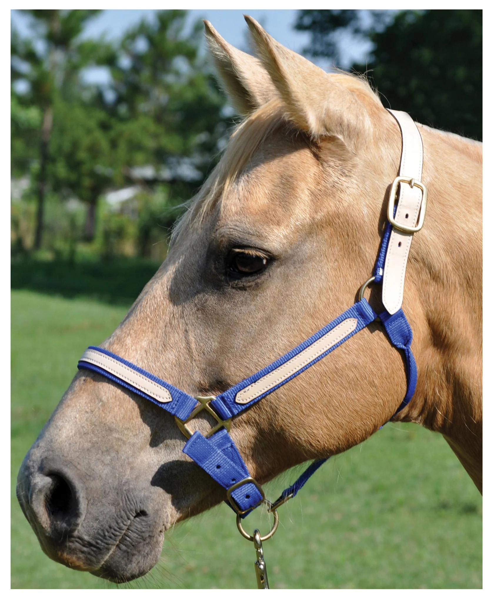 Tough1 Leather Overlay Breakaway Horse Nylon Halter - Buy Pet Shop