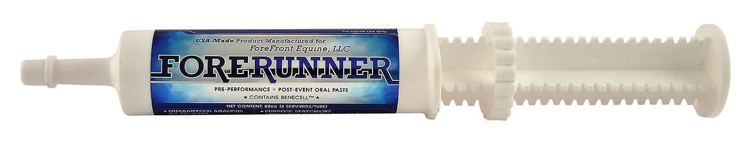 ForeRunner Paste - Buy Pet Shop