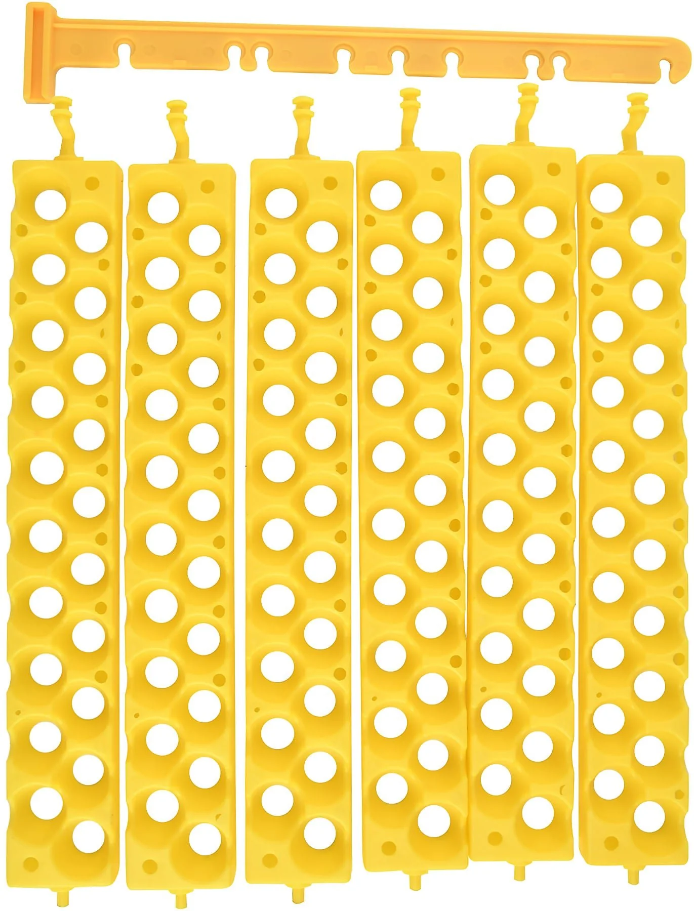 Quail Egg Racks, pkg of 6 - Buy Pet Shop