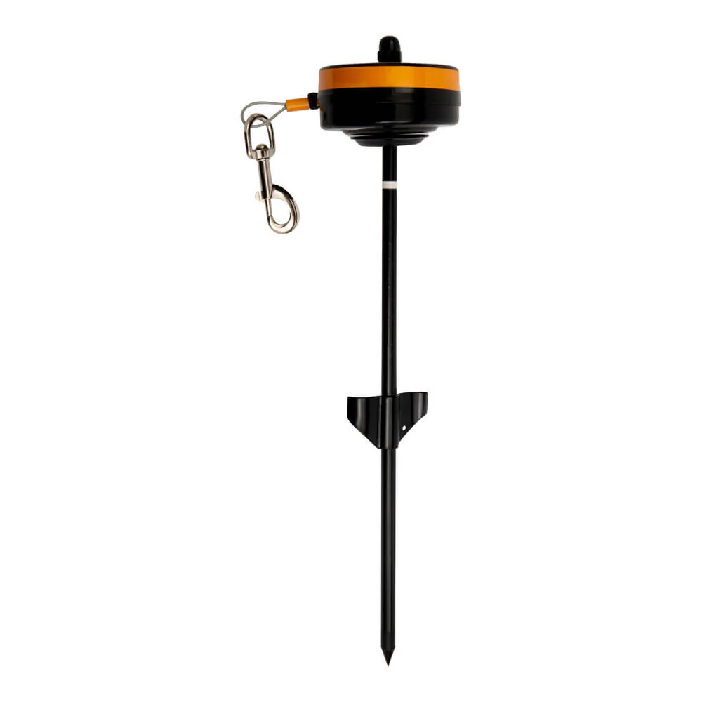Lixit Retractable Cable Tie Out for Dogs - Buy Pet Shop