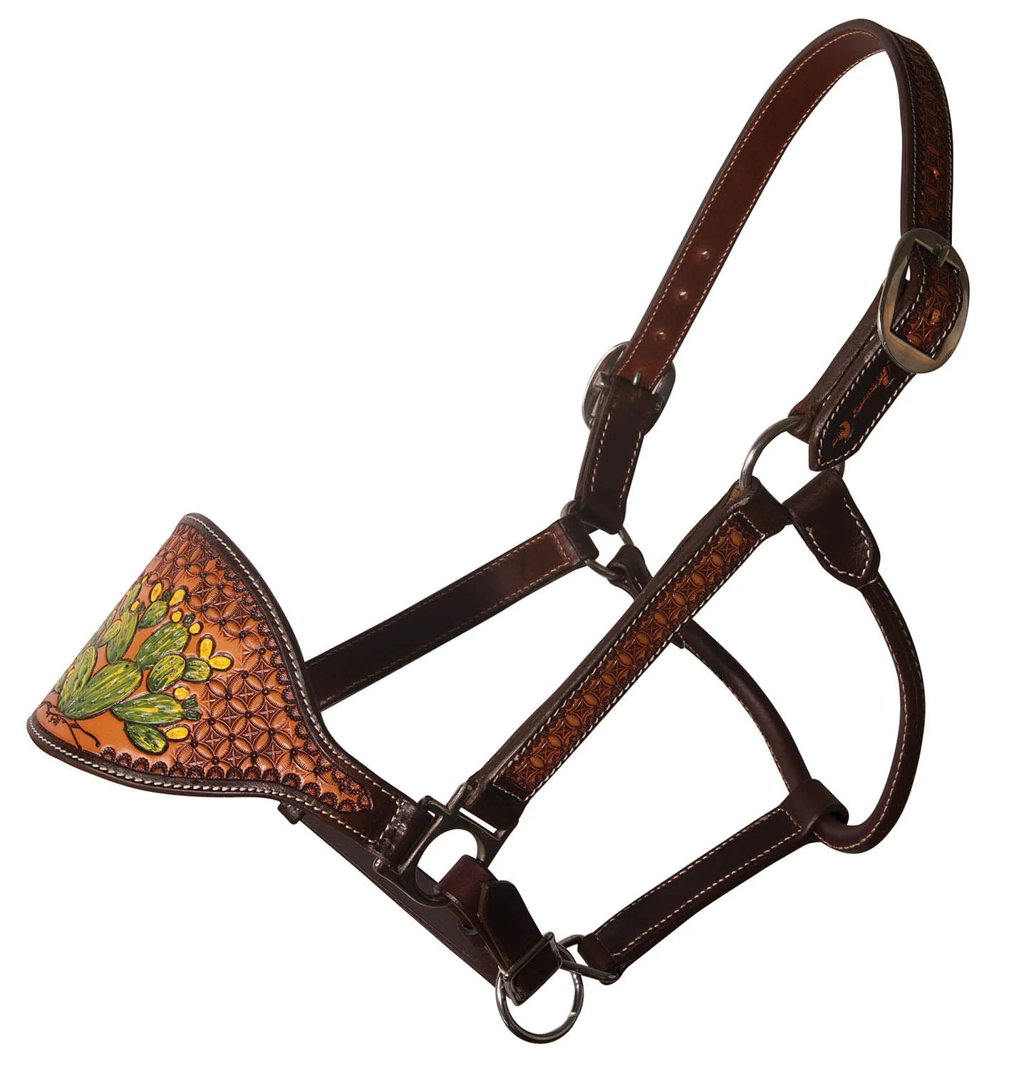 Professional's Choice Cactus Bronc Nose Leather Halter - Buy Pet Shop