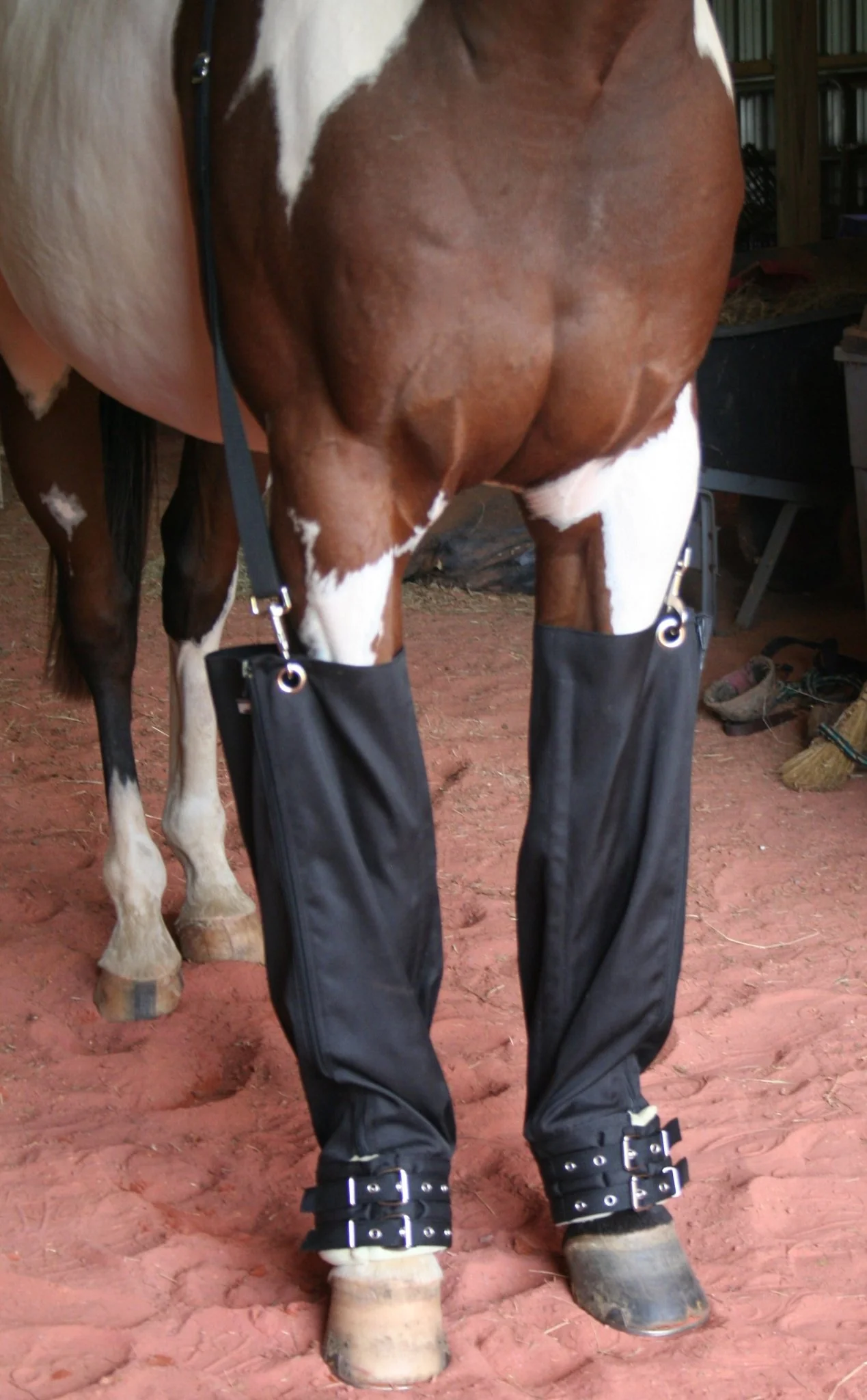 Roma Full Ice Boots for Horses, pair - Buy Pet Shop