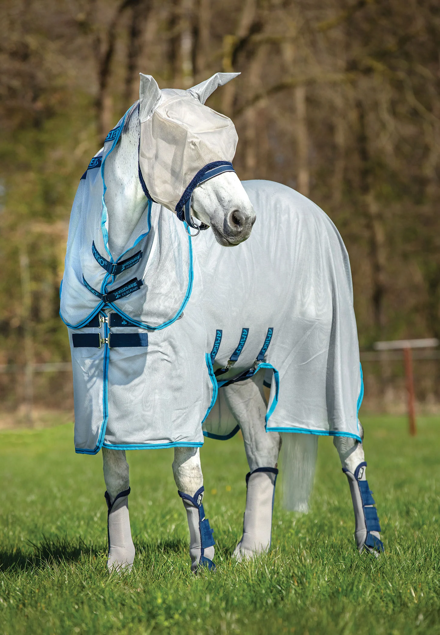 Amigo Bug Buster Vamoose with No Fly Zone - Buy Pet Shop