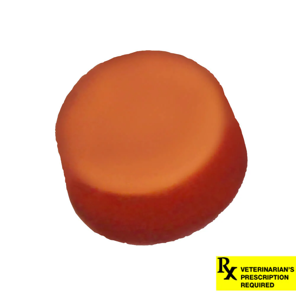 NexGard Flea and Tick Chewables for Dogs - Buy Pet Shop