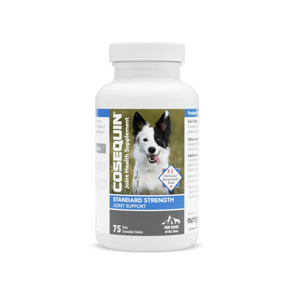 Nutramax Cosequin Standard Strength Joint Health Supplement for Dogs, With Glucosamine and MSM - Buy Pet Shop
