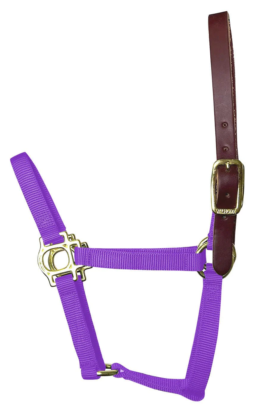 Valhoma Premium Breakaway Nylon Halter with Leather Crown - Buy Pet Shop