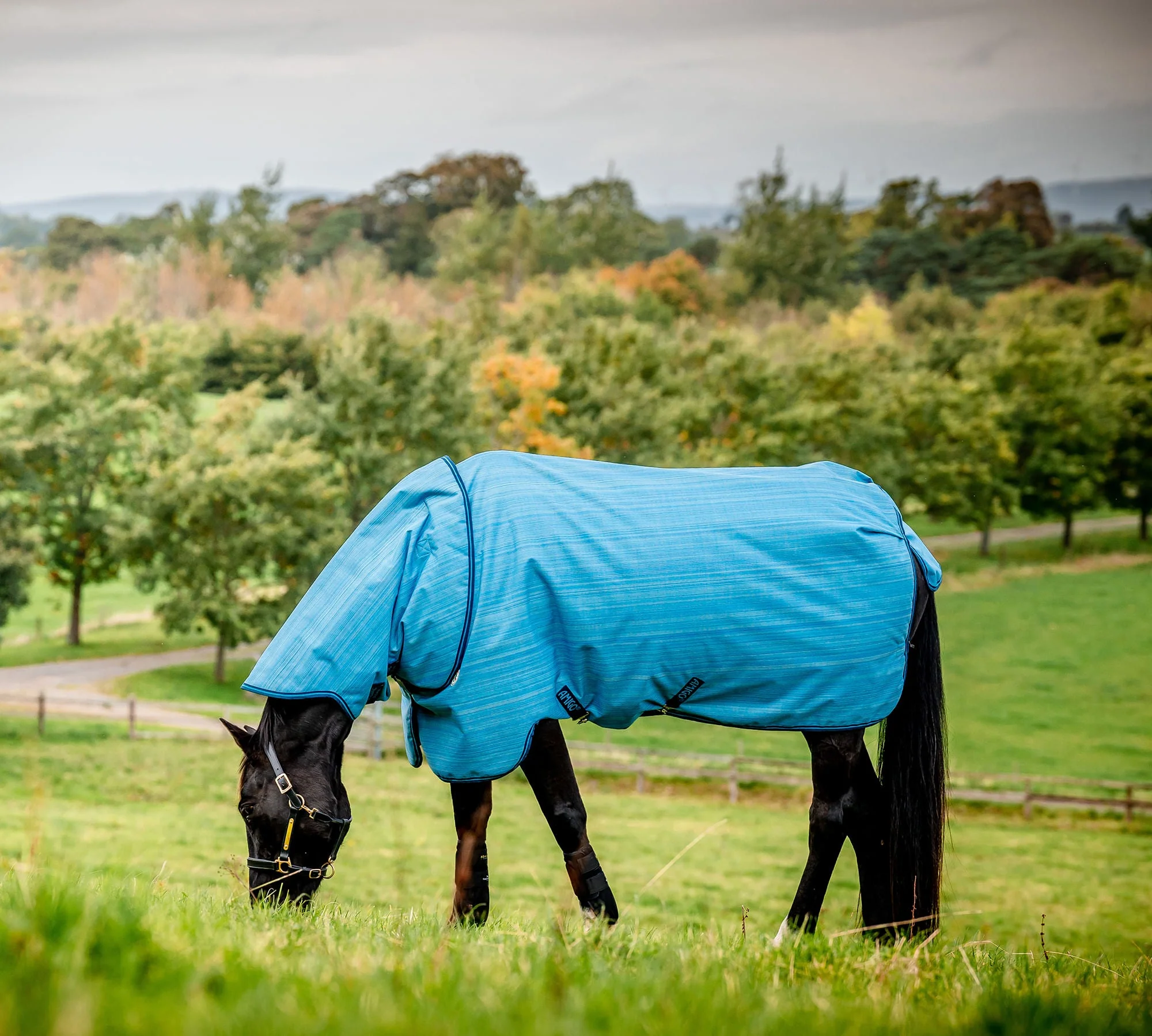 Amigo Hero 900 Revive Plus Medium Weight Horse Turnout Blanket - Buy Pet Shop