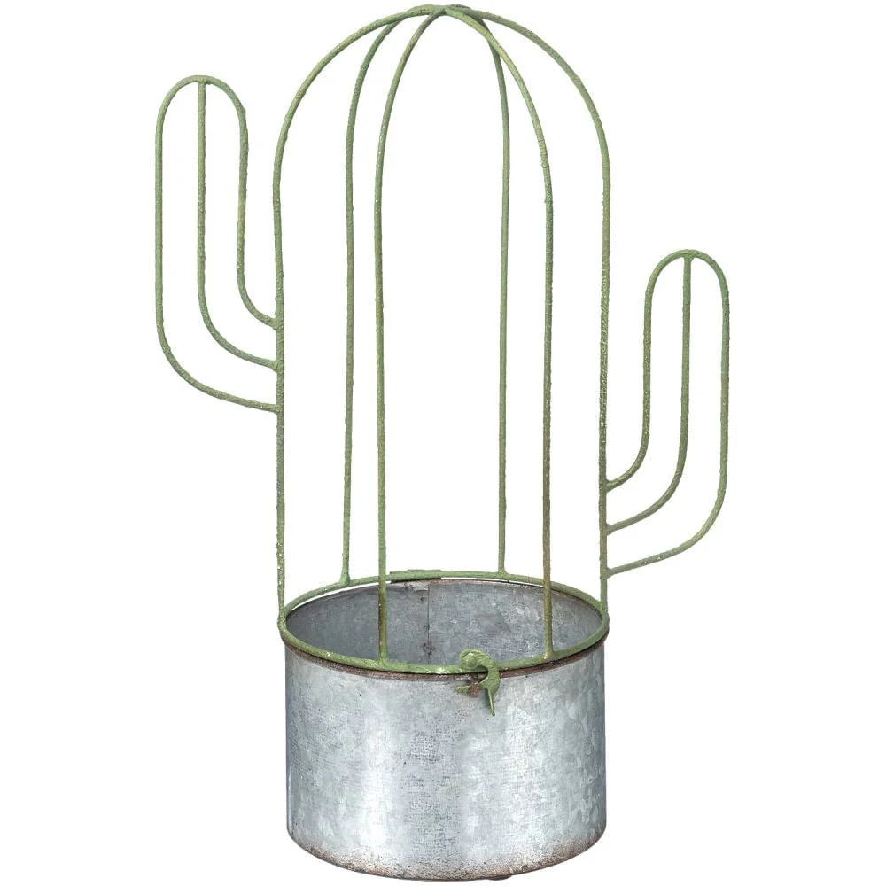 Cactus Planter - Buy Pet Shop