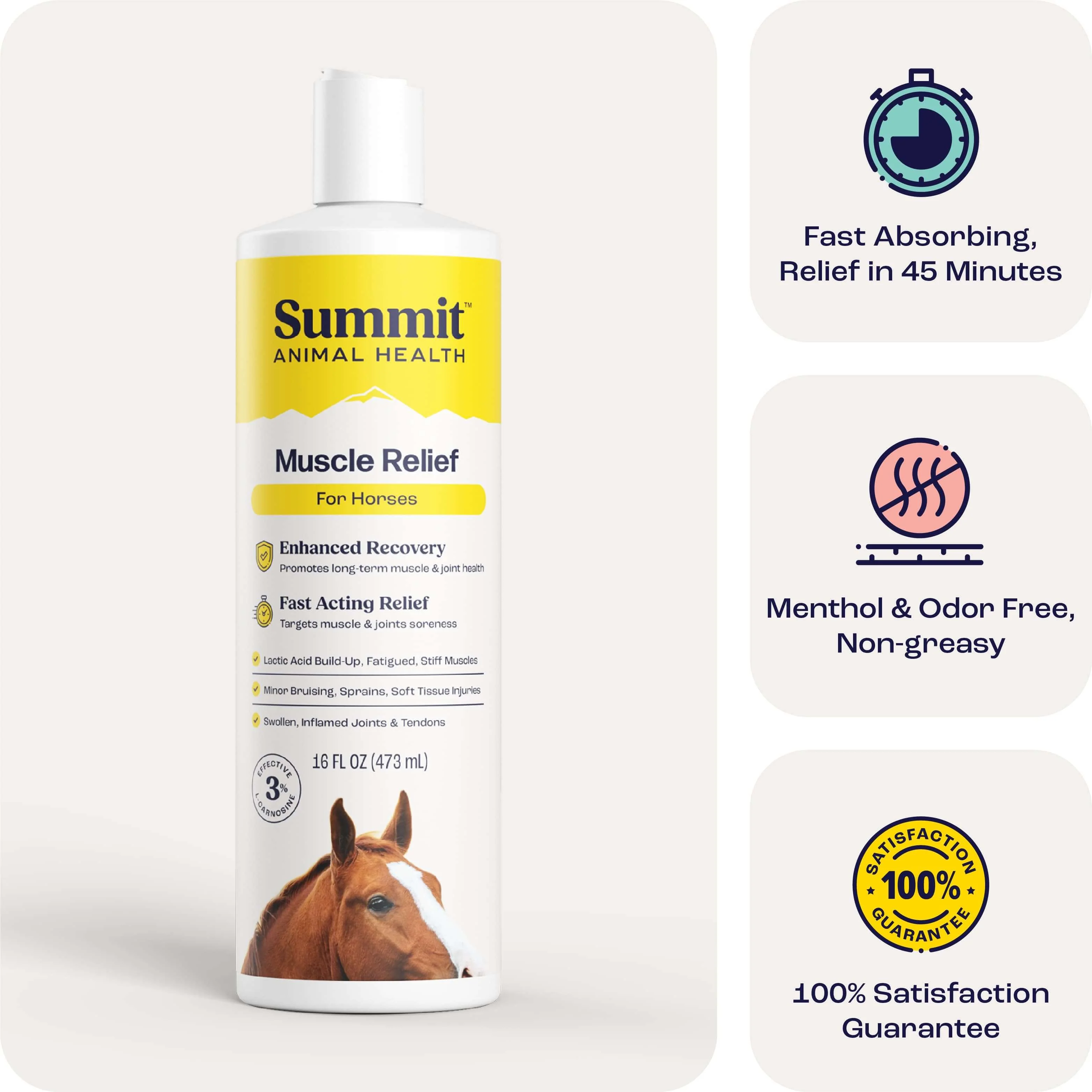 Summit Animal Health - Muscle Relief for Horses, 16 oz - Buy Pet Shop