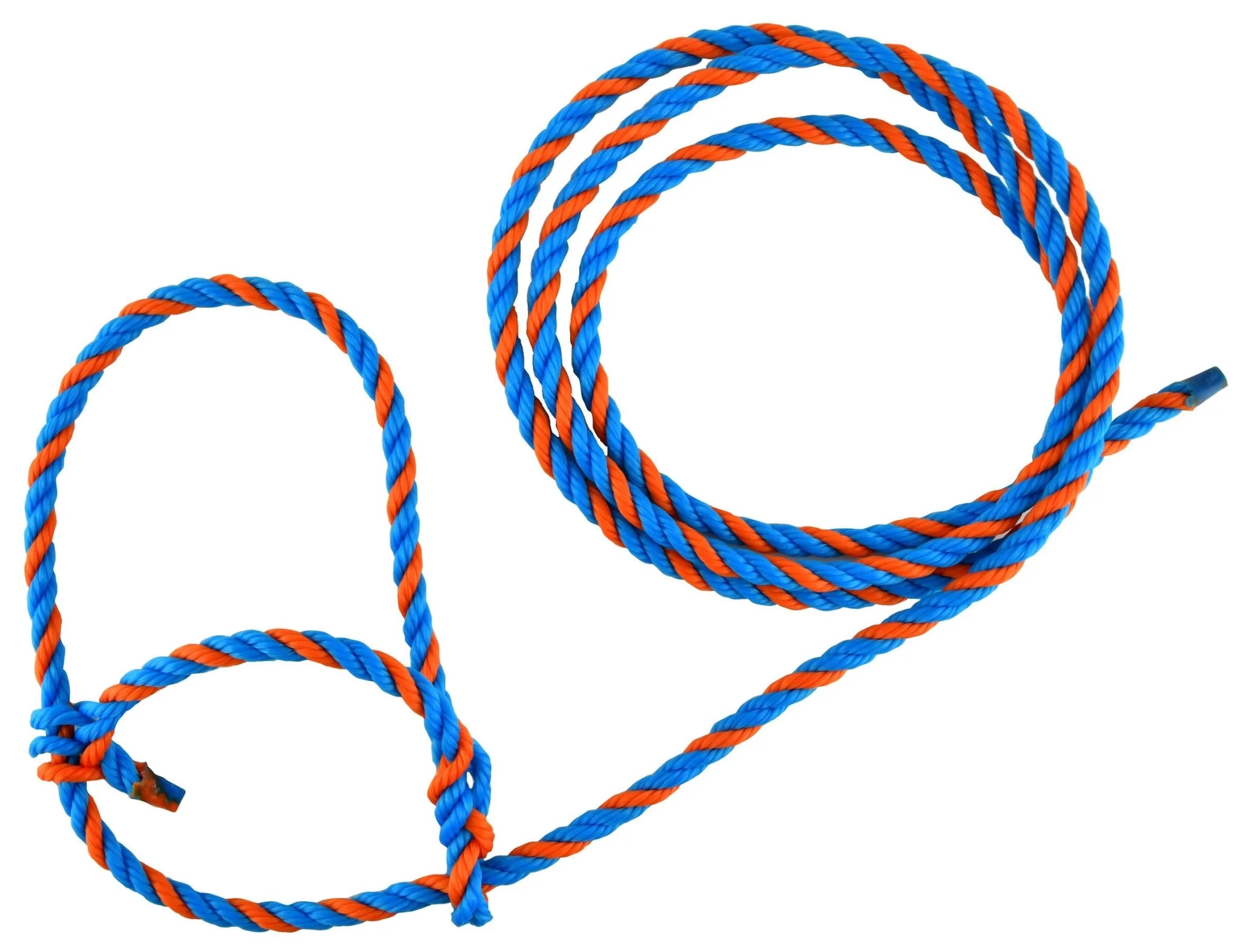 Troyer's Poly Cow Halter - Buy Pet Shop